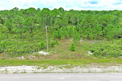 Lehigh Acres Area Lot For Sale in Lehigh Acres Florida