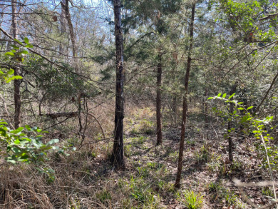 Wooded Nature Filled Lots! - photo 5