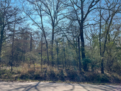 Wooded Nature Filled Lots! - photo 3