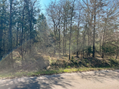 Wooded Nature Filled Lots! - photo 2
