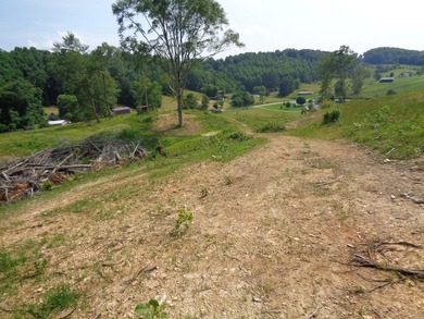 LOOKING FOR THAT UNRESTRICTED SMALL FARM OR JUST PRIVATE LAND TO - photo 11