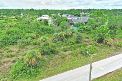Lehigh Acres Area Lot For Sale in Lehigh Acres Florida