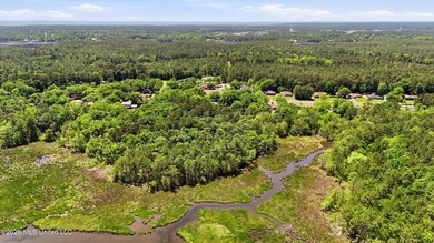 Don't miss this rare opportunity to own acreage and waterfront - photo 11