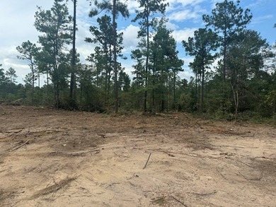 90 Acres located in Pineland, TX on beautiful Lake Sam Rayburn! - photo 11