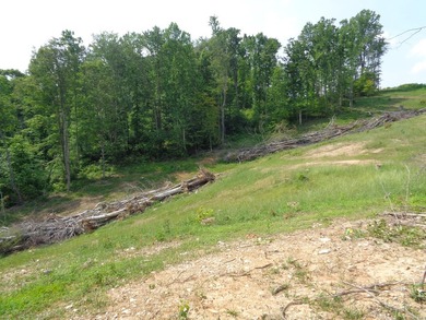 LOOKING FOR THAT UNRESTRICTED SMALL FARM OR JUST PRIVATE LAND TO - photo 12