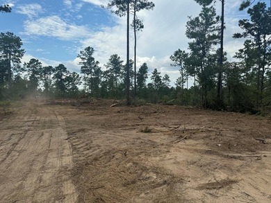 90 Acres located in Pineland, TX on beautiful Lake Sam Rayburn! - photo 12