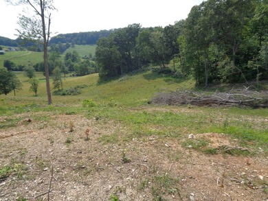 LOOKING FOR THAT UNRESTRICTED SMALL FARM OR JUST PRIVATE LAND TO - photo 13