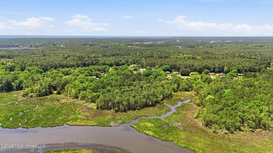 Don't miss this rare opportunity to own acreage and waterfront - photo 13
