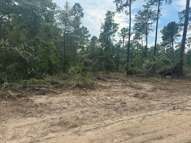 90 Acres located in Pineland, TX on beautiful Lake Sam Rayburn! - photo 13