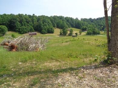 LOOKING FOR THAT UNRESTRICTED SMALL FARM OR JUST PRIVATE LAND TO - photo 14
