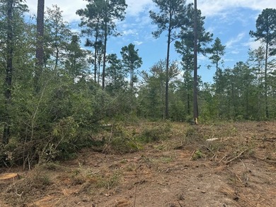 90 Acres located in Pineland, TX on beautiful Lake Sam Rayburn! - photo 14
