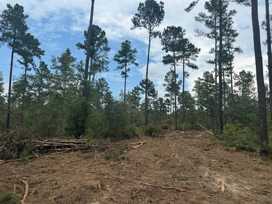 90 Acres located in Pineland, TX on beautiful Lake Sam Rayburn! - photo 15