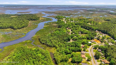 Don't miss this rare opportunity to own acreage and waterfront - photo 16