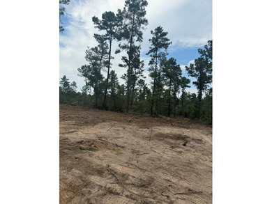 90 Acres located in Pineland, TX on beautiful Lake Sam Rayburn! - photo 17