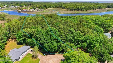 Don't miss this rare opportunity to own acreage and waterfront - photo 18