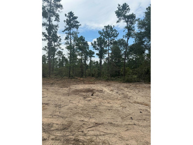 90 Acres located in Pineland, TX on beautiful Lake Sam Rayburn! - photo 18