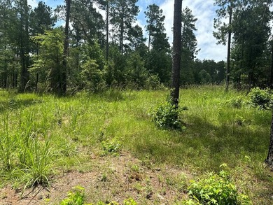90 Acres located in Pineland, TX on beautiful Lake Sam Rayburn! - photo 20