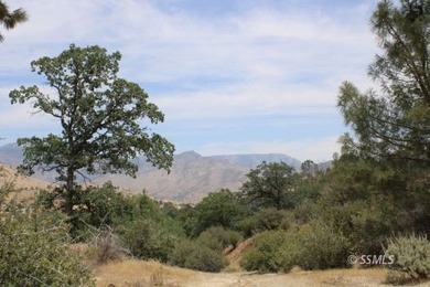 Big Acreage offers Big Opportunity! Very Unique and Diverse - photo 21