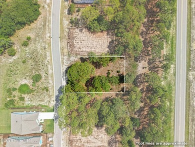 Build your vision in Ocean Isle Palms. This vacant lot is - photo 3