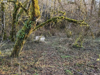Great opportunity with many possibilities, this beautiful - photo 37
