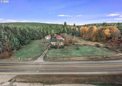 Great opportunity with many possibilities, this beautiful - photo 39