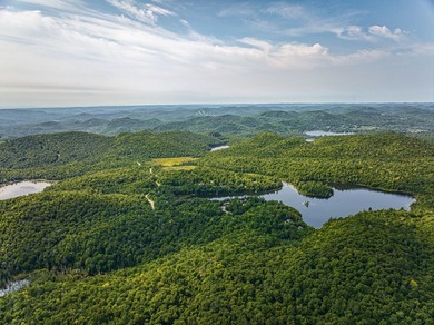 Petit Lac a Cochard Lot For Sale in Sainte-Adèle QC
