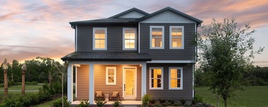 Lake Hendon Reserve Home For Sale in Saint Cloud Florida