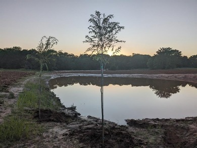 (private lake, pond, coastal) Acreage For Sale in Bridgeport Texas