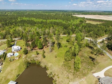 AMAZING, HUGE 2.59 ACRE CLEARED WATER FRONT LOT ON LAKE - photo 15