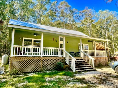 SECLUDED House Surrounded By Beautiful Woods - Lake Home For Sale in Pachuta, Mississippi
