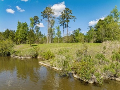 AMAZING, HUGE 2.59 ACRE CLEARED WATER FRONT LOT ON LAKE - photo 25