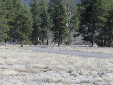 Enjoy this 5 acre lot in the upscale subdivision of Pine Ridge - photo 2