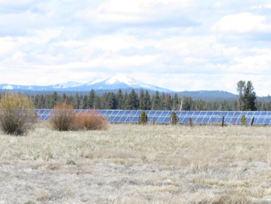 Enjoy this 5 acre lot in the upscale subdivision of Pine Ridge - photo 3