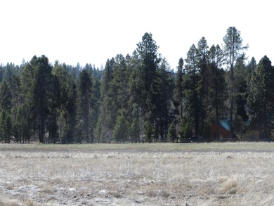 Enjoy this 5 acre lot in the upscale subdivision of Pine Ridge - photo 4