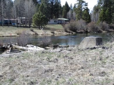 Enjoy this 5 acre lot in the upscale subdivision of Pine Ridge - photo 6