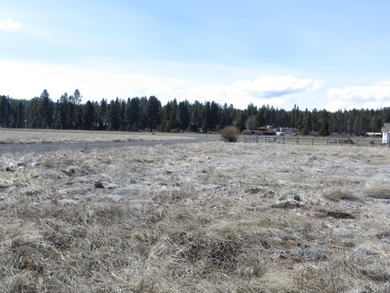 Enjoy this 5 acre lot in the upscale subdivision of Pine Ridge - photo 10