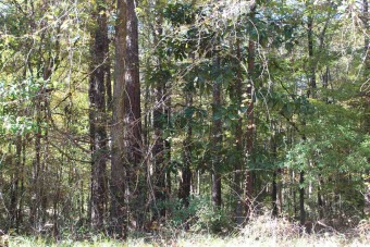 West Point Lake Lot For Sale in Lagrange Georgia