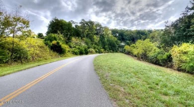 Norris Lake Lot For Sale in Sharps Chapel Tennessee