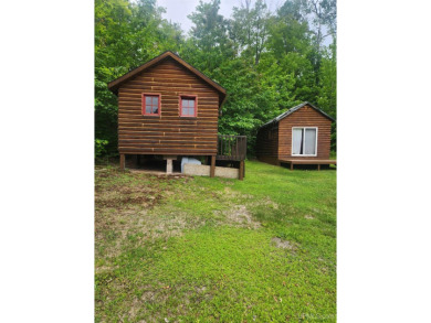 Lake Home For Sale in Toivola, Michigan