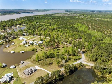 AWESOME WATER FRONT LOT ON LAKE BLACKSHEAR!!! Large 1.98 acre - photo 15