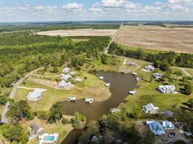 AWESOME WATER FRONT LOT ON LAKE BLACKSHEAR!!! Large 1.98 acre - photo 18