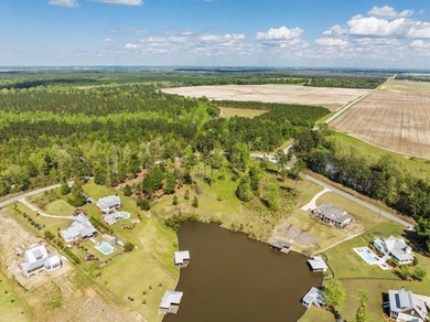 AWESOME WATER FRONT LOT ON LAKE BLACKSHEAR!!! Large 1.98 acre - photo 19
