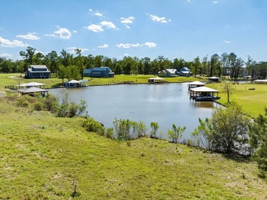 AWESOME WATER FRONT LOT ON LAKE BLACKSHEAR!!! Large 1.98 acre - photo 21
