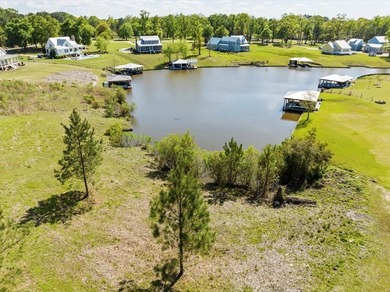 AWESOME WATER FRONT LOT ON LAKE BLACKSHEAR!!! Large 1.98 acre - photo 22