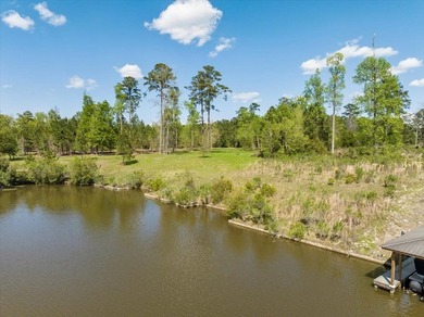 AWESOME WATER FRONT LOT ON LAKE BLACKSHEAR!!! Large 1.98 acre - photo 28