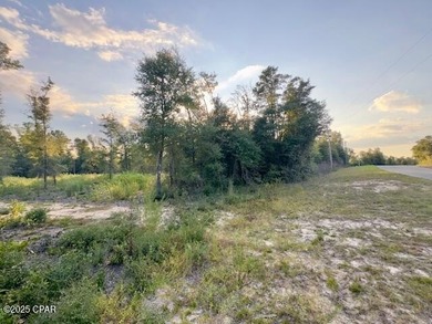 Compass Lake Lot Sale Pending in Alford Florida