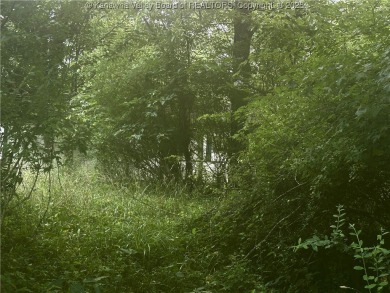 (private lake, pond, creek) Lot For Sale in Elizabeth West Virginia