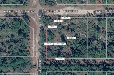 Lake Weohyakapka Lot For Sale in Indian Lake Estates Florida