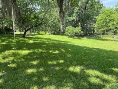 .447 Waterfront Lot on Caddo Lake - Lake Lot For Sale in Jefferson, Texas