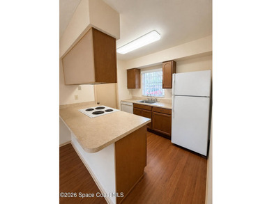 Open floor plan with galley style kitchen. Lots of closet space - photo 8